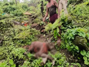 Chhattisgarh Crimes