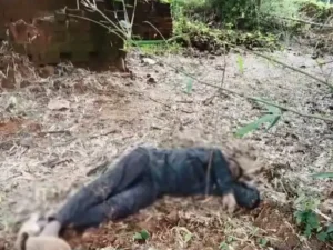 Chhattisgarh Crimes
