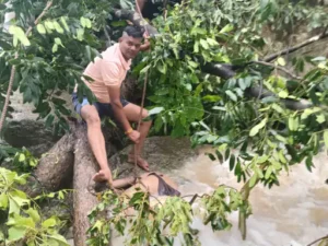 Chhattisgarh Crimes