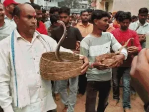 Chhattisgarh Crimes