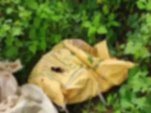 Chhattisgarh Crimes