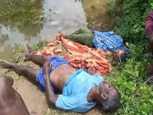 Chhattisgarh Crimes