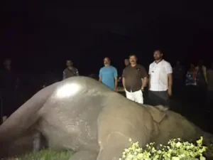 Chhattisgarh Crimes