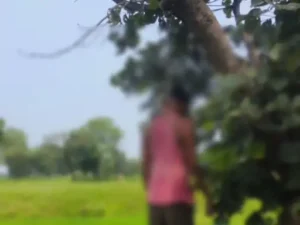 कोरबा के हरदीबाजार थाना क्षेत्र के पखनापारा में एक किसान की आत्महत्या का मामला सामने आ Chhattisgarh Crimes