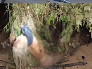 Chhattisgarh Crimes