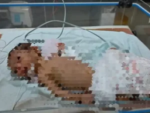 Chhattisgarh Crimes