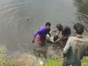 Chhattisgarh Crimes