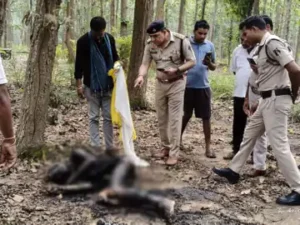 Chhattisgarh Crimes