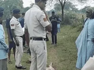 Chhattisgarh Crimes