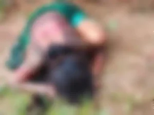 Chhattisgarh Crimes
