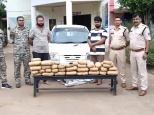 छत्तीसगढ़ और ओडिशा राज्य की सरहद पर नगरनार क्षेत्र में 2 दिनों में 11 लाख 90 हजार रुपए का गांजा पकड़ाया Chhattisgarh Crimes