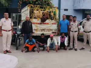 कोरबा पुलिस ने मवेशी तस्करी के मामले में चार आरोपियों को गिरफ्तार किया Chhattisgarh Crimes