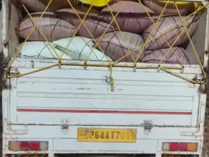 बलरामपुर जिले में अवैध धान परिवहन पर प्रशासन ने सख्त कार्रवाई की Chhattisgarh Crimes