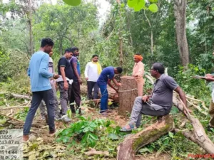 Chhattisgarh Crimes