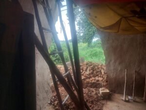 Chhattisgarh Crimes