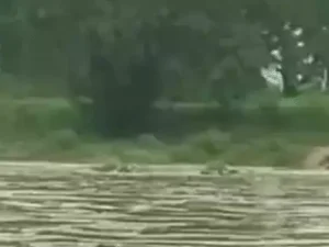 Chhattisgarh Crimes