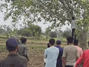 दुर्ग जिले के पाटन में एक युवक का शव बरगद के पेड़ से लटका हुआ मिला Chhattisgarh Crimes