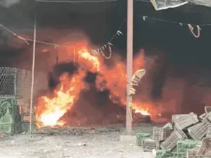 बलौदाबाजार जिले के भाटापारा नगर पालिका की नई सब्जी मंडी में भीषण आग लग गई Chhattisgarh Crimes