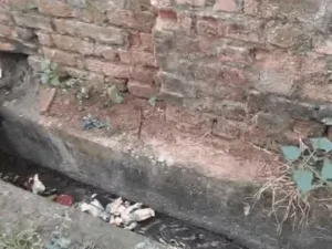 छत्तीसगढ़ के रायगढ़ जिले में कुछ असामाजिक तत्वों ने राम मंदिर में तोड़फोड़ किया Chhattisgarh Crimes