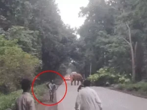 Chhattisgarh Crimes