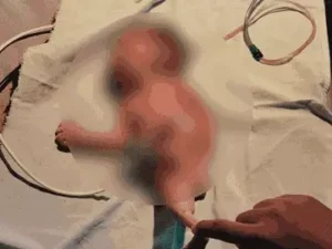 Chhattisgarh Crimes