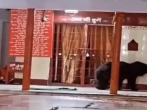 Chhattisgarh Crimes