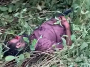 बिलासपुर में एक युवक की लाश नेशनल हाईवे किनारे झाड़ियों में मिली Chhattisgarh Crimes
