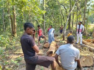 जंगल हमारा अधिकार हमारे पेशा क्षेत्र में अवैधानिक पेड़ों की कटाई बंद हो, संजय नेताम Chhattisgarh Crimes