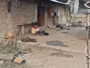 छत्तीसगढ़ के गरियाबंद जिले में तीन दिनों में तीन सगे भाई-बहन की मौत Chhattisgarh Crimes