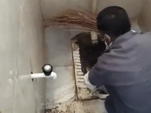 शौच करते वक्त बच्चे का जन्म...कमोड में फंसा नवजात Chhattisgarh Crimes