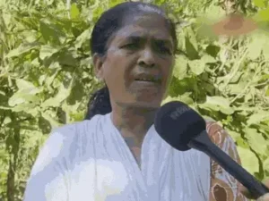 छत्तीसगढ़ के इनामी नक्सली माड़वी हिड़मा के एनकाउंटर के बाद मध्य प्रदेश की राजनीति गरमा गई Chhattisgarh Crimes