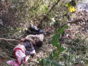 छत्तीसगढ़ के रायगढ़ जिले में सड़क हादसे में एक ग्रामीण की मौत Chhattisgarh Crimes