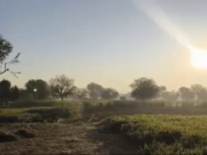 छत्तीसगढ़ में ठंड बढ़ने लगी Chhattisgarh Crimes