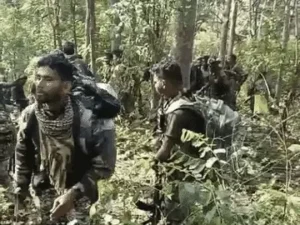 सुकमा मुठभेड़ में 2 महिला समेत 3 नक्सली ढेर. Chhattisgarh Crimes