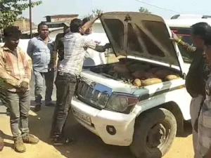 कबीरधाम जिले में 13 लाख का गांजा पकड़ाया Chhattisgarh Crimes