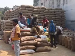 बिलासपुर में धान खरीदी केंद्रों में तय मापदंड से अधिक धान लेने का मामला सामने आया Chhattisgarh Crimes