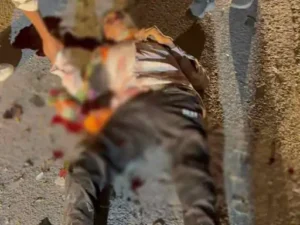 कांकेर में शनिवार देर शाम यात्री बस और बाइक की टक्कर में पिता-बेटे की मौके पर ही मौत Chhattisgarh Crimes