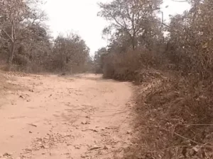 बीजापुर जिले के ईलमिड़ी थाना क्षेत्र में सुरक्षा बलों ने नक्सलियों की एक बड़ी साजिश को नाकाम कर दिया Chhattisgarh Crimes