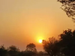 छत्तीसगढ़ में मौसम शुष्क (ड्राई) बना हुआ है। मौसम विज्ञान विभाग (IMD) के अनुसार प्रदेश में अगले पांच दिनों तक तापमान में किसी बड़े बदलाव की संभावना नहीं Chhattisgarh Crimes