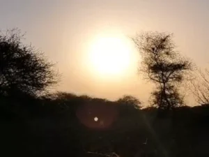 छत्तीसगढ़ में मौसम ड्राई बना हुआ Chhattisgarh Crimes