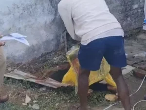 छत्तीसगढ़ के अंबिकापुर में बेटे ने कुल्हाड़ी से हमला कर पिता की हत्या कर दी Chhattisgarh Crimes