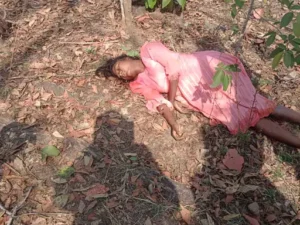 बलरामपुर-रामानुजगंज जिले के रामानुजगंज-रामचंद्रपुर विकासखंड में हाथी के हमले में 14 साल की किशोरी की मौत हो गई Chhattisgarh Crimes