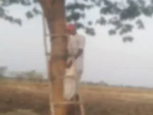 बलौदा बाजार के ग्राम अमेरा में एक 80 वर्षीय बुजुर्ग कार्तिक साहू ने पेड़ पर फांसी लगाकर आत्महत्या कर ली Chhattisgarh Crimes