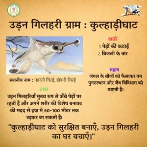 अब टाइगर रिज़र्व के दुर्लभ वन्यप्राणी रोकेंगे ग्रामीणों का पलायन, ग्राम-मुखिया बनेंगे ईको पर्यटन के गुडविल एम्बेसडर Chhattisgarh Crimes