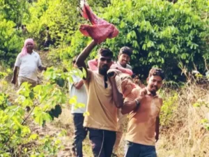 Chhattisgarh Crimes