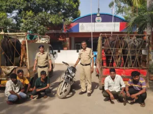 Chhattisgarh Crimes