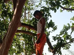 Chhattisgarh Crimes
