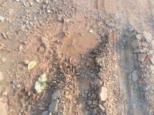 Chhattisgarh Crimes