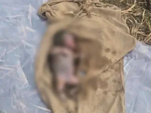 Chhattisgarh Crimes