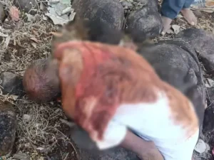 Chhattisgarh Crimes
